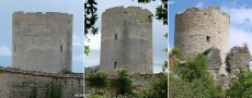 www.chateauxfaure-et-faureteresses.com_montreuil-bonnin _01.jpg