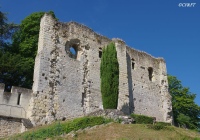 www.chateauxfaure-et-faureteresses.com_langeais_donjon_10 bis.JPG