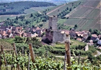 www.chateauxfaure-et-faureteresses.com_wineck_04.jpg