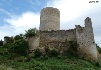 www.chateauxfaure-et-faureteresses.com_montreuil-bonnin _05.JPG
