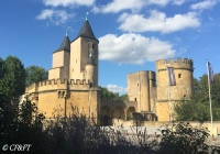 www.chateauxfaure-et-faureteresses.com_metz(la-porte-des-allemands)_03.JPG