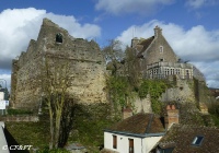 www.chateauxfaure-et-faureteresses.com_beaumont-sur-sarthe_05.jpg