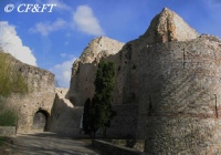 www.chateauxfaure-et-faureteresses.com_sainte_suzanne_03.jpg