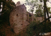 www.chateauxfaure-et-faureteresses.com_haut-ribeaupierre_02.jpg