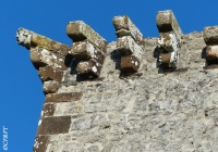 www.chateauxfaure-et-faureteresses.com_hastingues_05.JPG