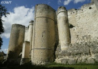 www.chateauxfaure-et-faureteresses.com_loches_indre-et-loire.jpg