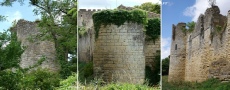 www.chateauxfaure-et-faureteresses.com_montreuil-bonnin _06.jpg