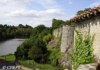 www.chateauxfaure-et-faureteresses.com_tour-melusine(la)_vouvant_01.jpg